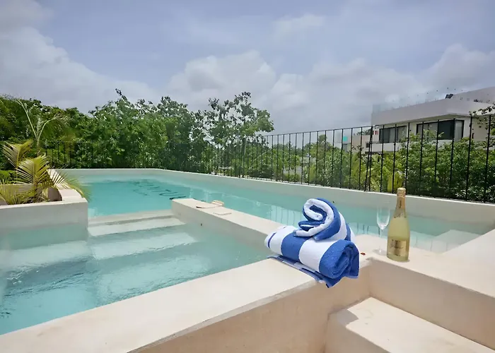 Departamento Amplio Con Balcon Y Mini Alberca Privada Apartment *